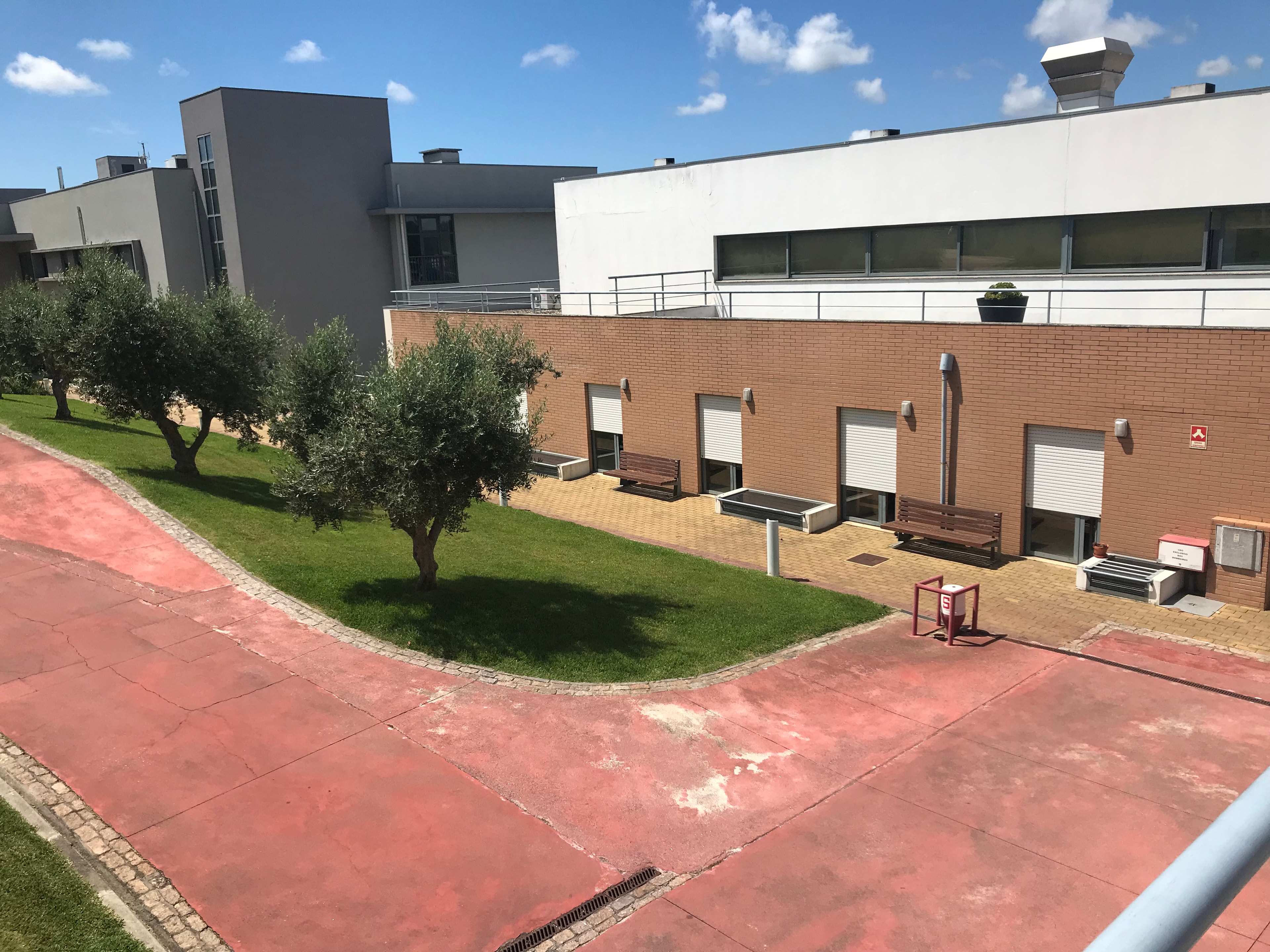 SCM da Trofa - Remodelação do Lar Alfredo Carriço - Image 2